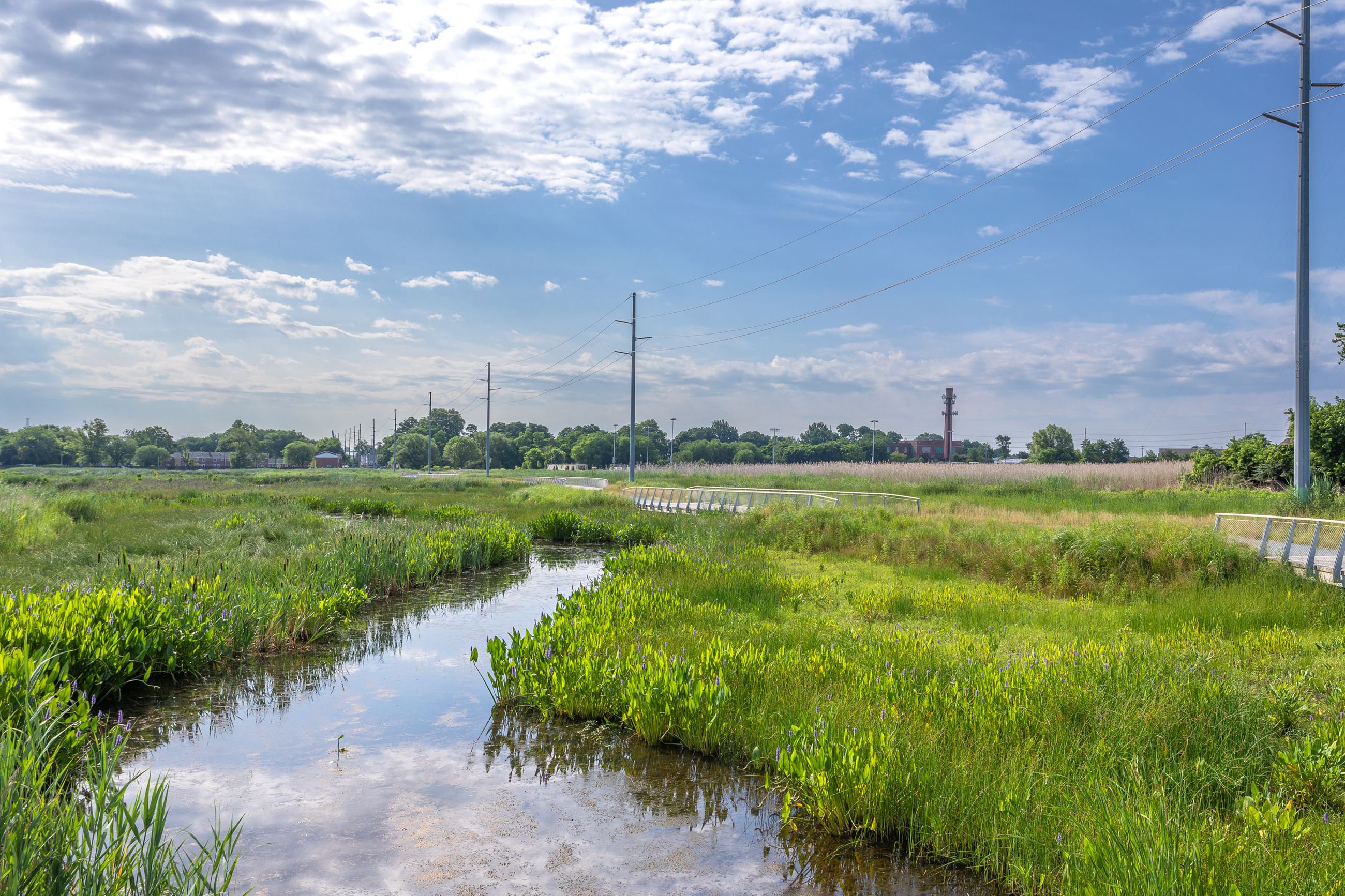 Wetlands Water View